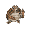 Angry Turtle
