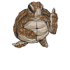 Angry Turtle
