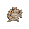 Angry Turtle