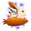 RABBITS IN SPACE