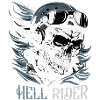 Skull Rider with Goggles