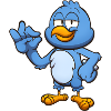 Perfect Blue Bird