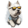Dog With Sunglasses