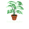 Grow With The Flow Monstera