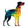 Bunter Hund - Schöner Hund