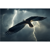 Falke fliegt im Sturm