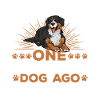 Bernese Mountain Dog