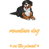 Bouvier bernois