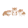 Pet Rodent Hamster Lover