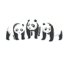 Pandas make me happy