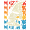 Buntes Skript Des Wingsurfing-mannes