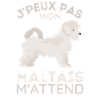 Chien maltais 2
