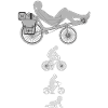 Evolution Liegerad
