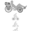 Evolution Trike