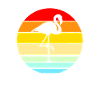 Flamingo sunset