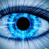 Oeil