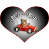 cat car