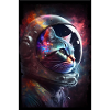 Cat in space