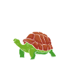 I like Turtles Sea Turtle
