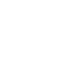 Bear Grizzly Head