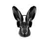 Lapin avec écouteurs