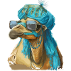 Camel with sunglasses