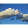 WHITE CLOUDS 3118 3