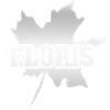 Feuille d’érable Floris