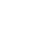 Ethiopia - Lion