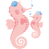 Hippocampe