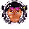 Kosmokatze