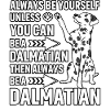 Dalmatian funny saying
