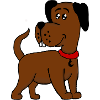 Dog with rabbit taming