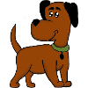 Cute dog brown