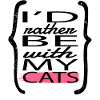 Cats House Cat Joke