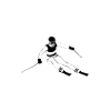 Sci alpino - sci alpino - slalom - sciatori