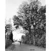 Der Junge auf der Straße