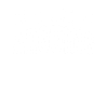 I do not discuss argument