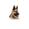 German Shepherd Gifts