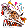 baby I'm a firecracker