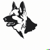 schäferhund