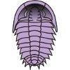Trilobite Fossil T Shirt