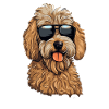 Goldendoodle Send Doods