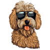 Cool Goldendoodle Wearing Sunglasses
