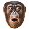 Funny Monkey T-Shirt