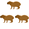 Copybara - Capybara Wortspiel - Copier Coller