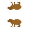 Copybara - Capybara Wortspiel - Copier Coller