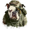 Bulldog - Soldat