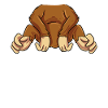 Costume de singe