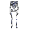 Skeleton Costume